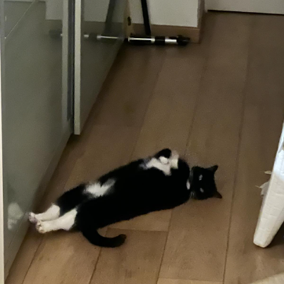 photo-chat-xxx